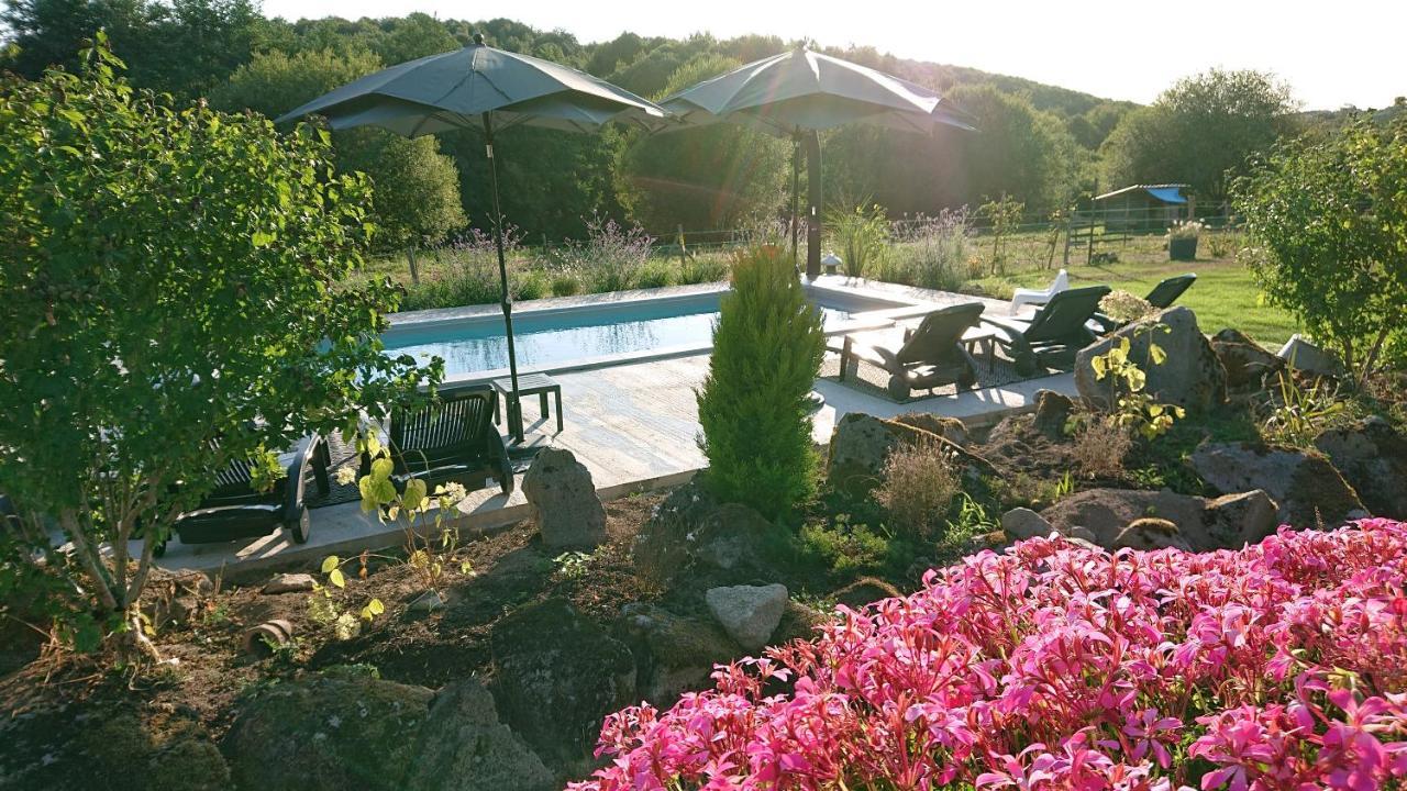 Domaine De La Jarrige Hotel Saint-Vaury ภายนอก รูปภาพ
